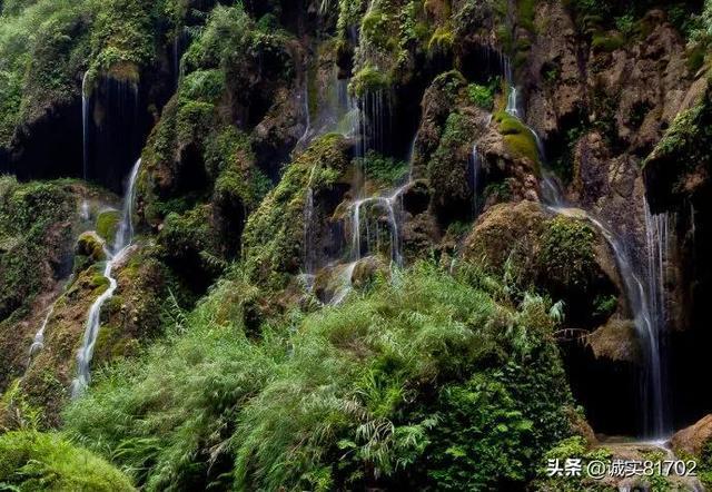 逃离密苏里州花园