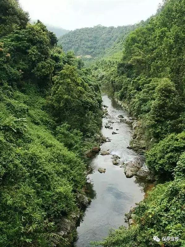 6600盏中式宫灯扮靓郑州农科路