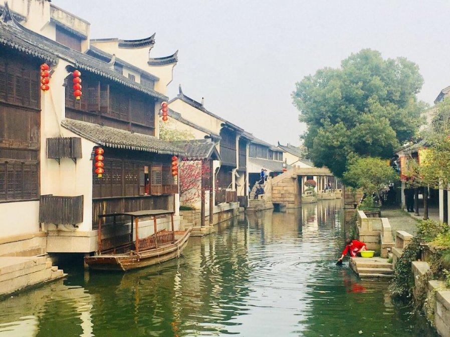 细胞分裂6